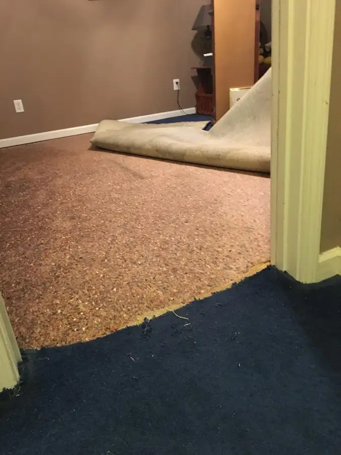 Carpet pad removal revealing water damage during Water Mitigation Services in Gloversville