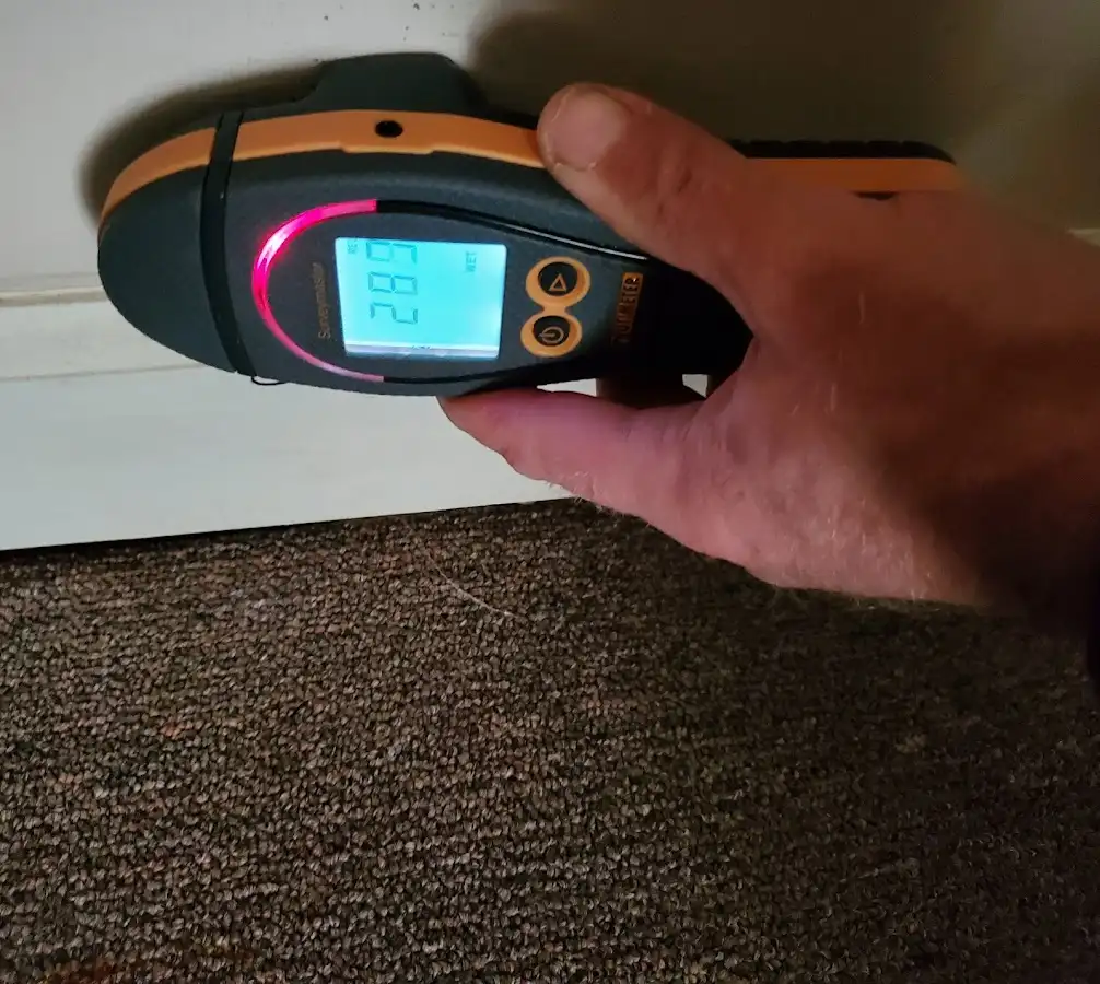 Moisture detection at baseboard during Sewage Cleanup & Sanitation in Gloversville